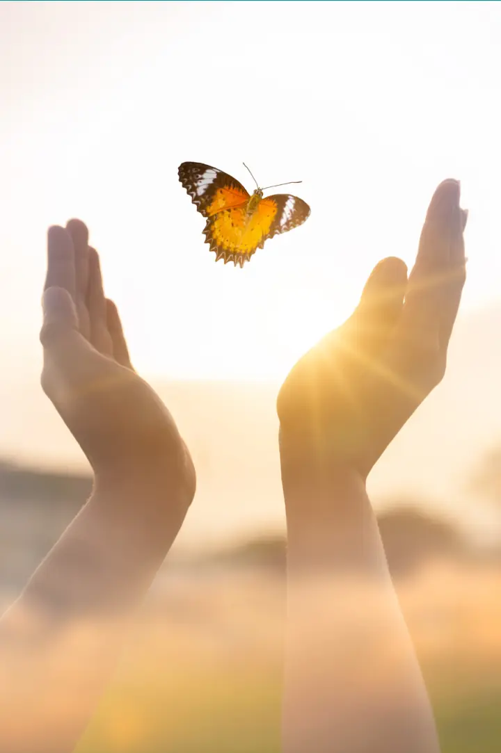 Photograph of open hands releasing a butterfly.